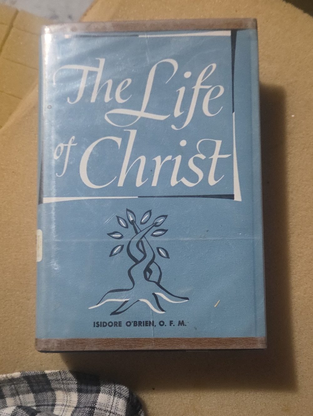 "The Life of Christ by Fr. Isidore O'Brien